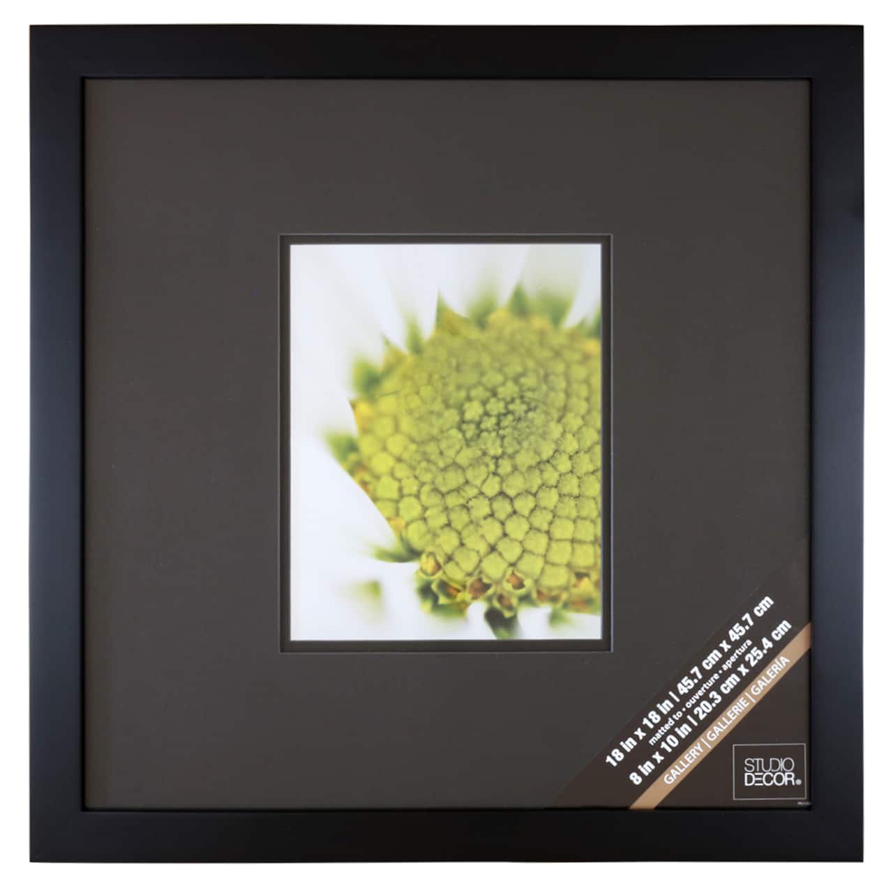 Black Square Gallery Wall Frame with Black Double Mat by Studio Décor®